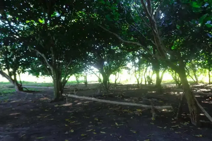 Hotel Fazenda Ecoville