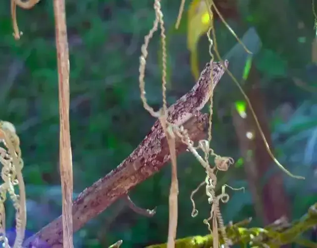 Hotel Fazenda Ecoville