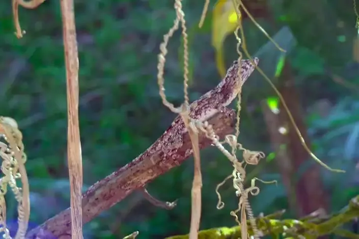 Hotel Fazenda Ecoville