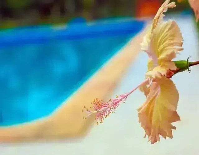 Hotel Fazenda Ecoville