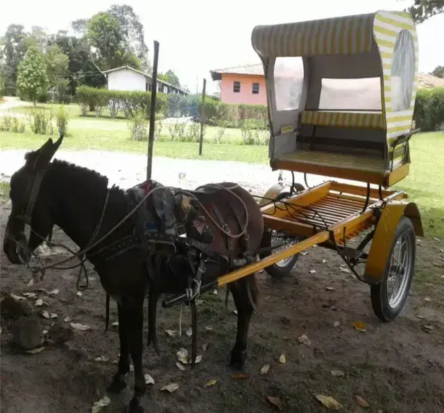 Hotel Fazenda Ecoville