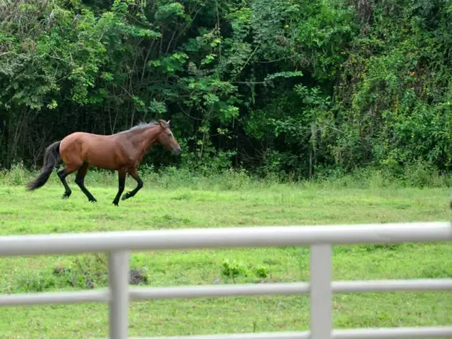 Hotel Fazenda Ecoville